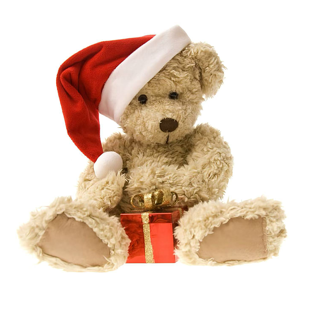 plush-christmas-gift-bear-doll-main-01