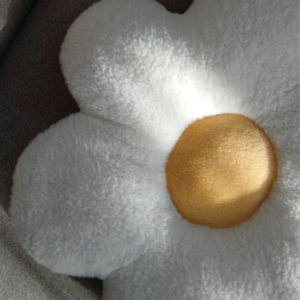Plush Cushion Series